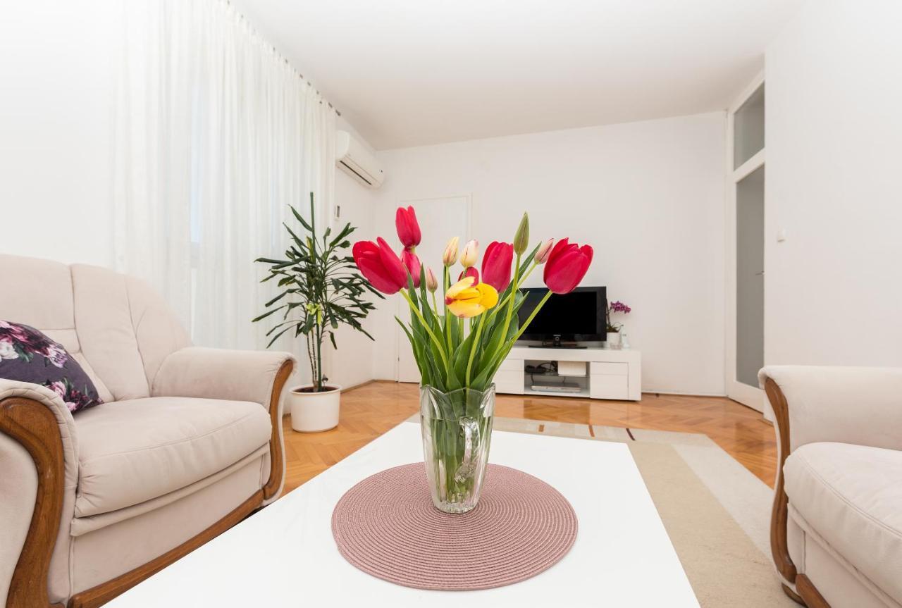 Apartman Centar Glavas 马卡尔斯卡 外观 照片