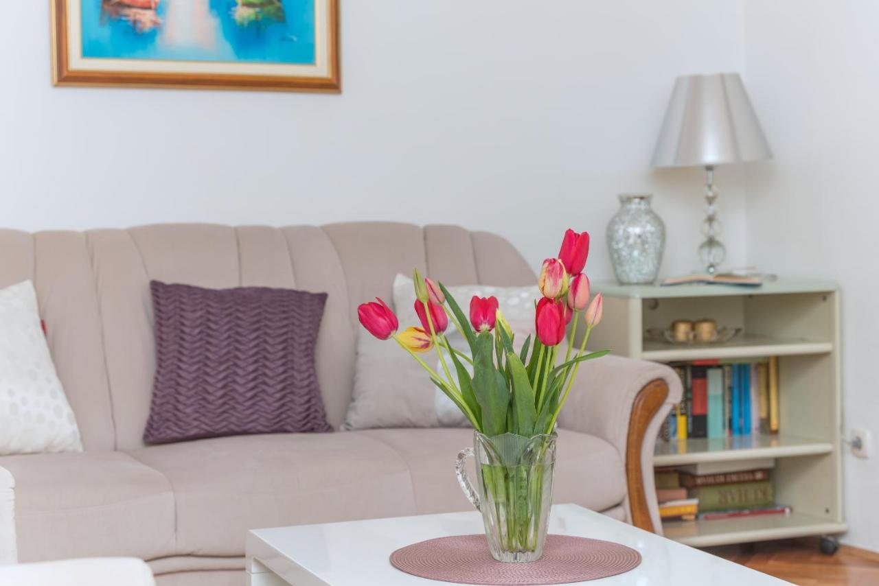 Apartman Centar Glavas 马卡尔斯卡 外观 照片